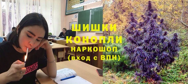 гашик Аркадак