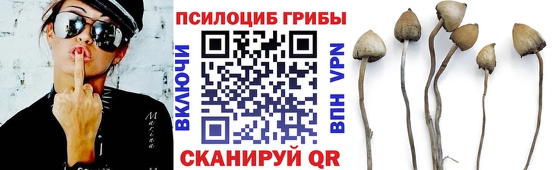 Псилоцибиновые грибы GOLDEN TEACHER Малоархангельск